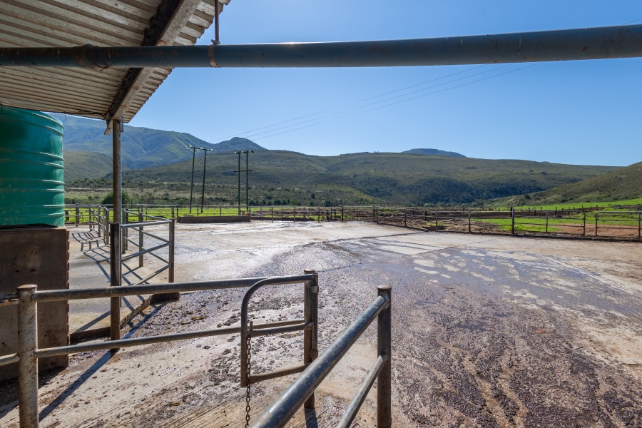 0 Bedroom Property for Sale in Kareedouw Eastern Cape